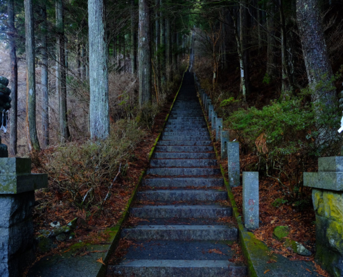 Les escaliers du sanctuaire Ishiwari, Saitama