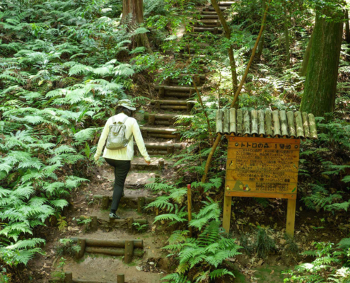 Visite de la forêt Totoro, Saitama